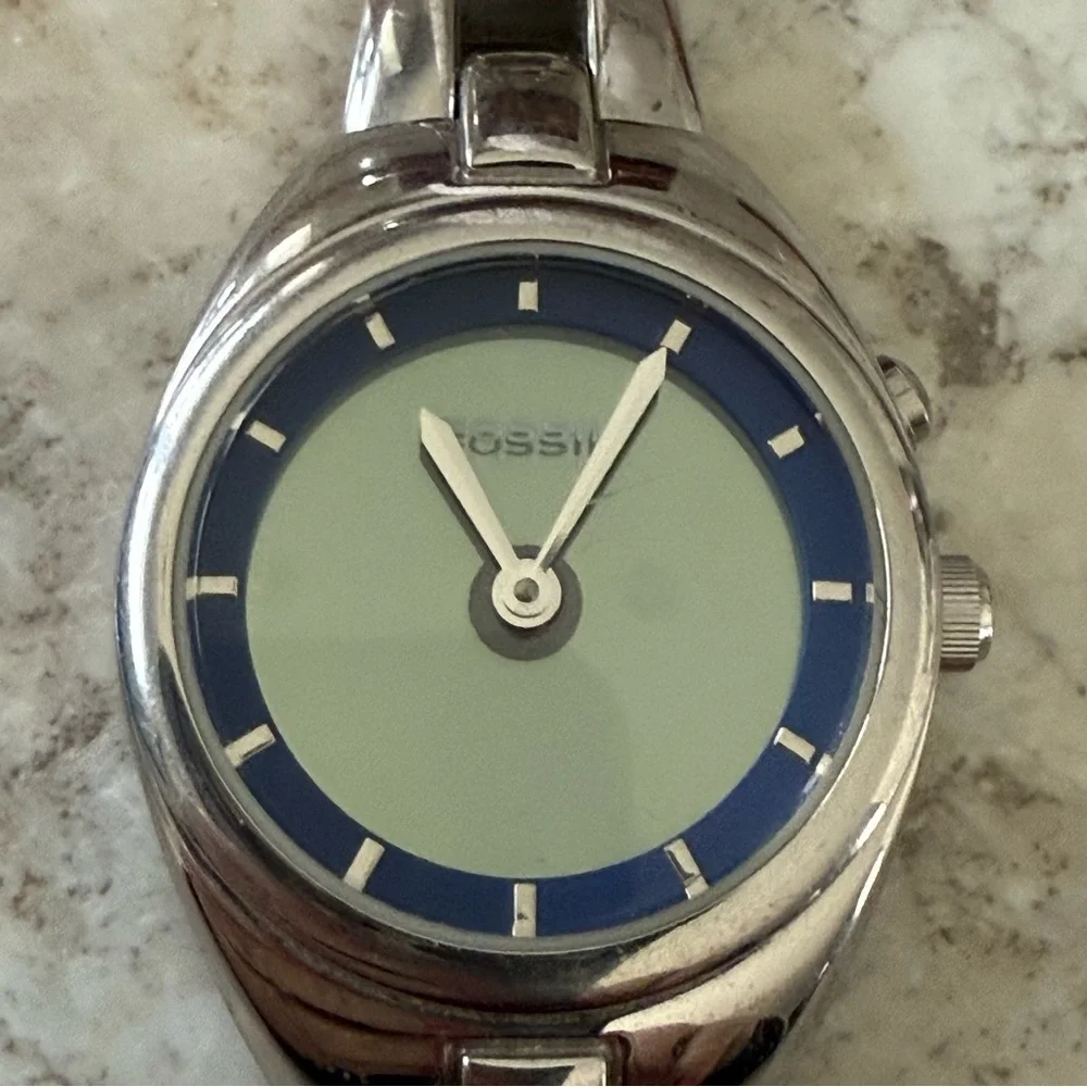 Fossil elegant silver