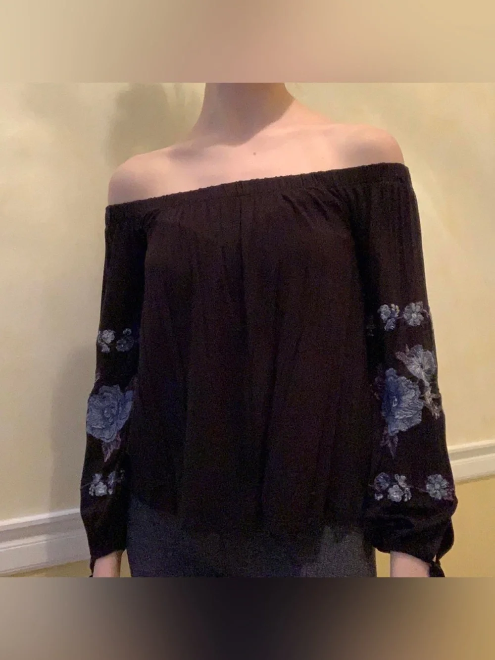 3 for $15 🦋🦋 American Eagle Outfitters off-the-shoulder top w/ floral embroidery