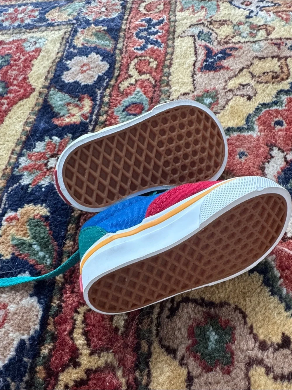 Vans bright canvas