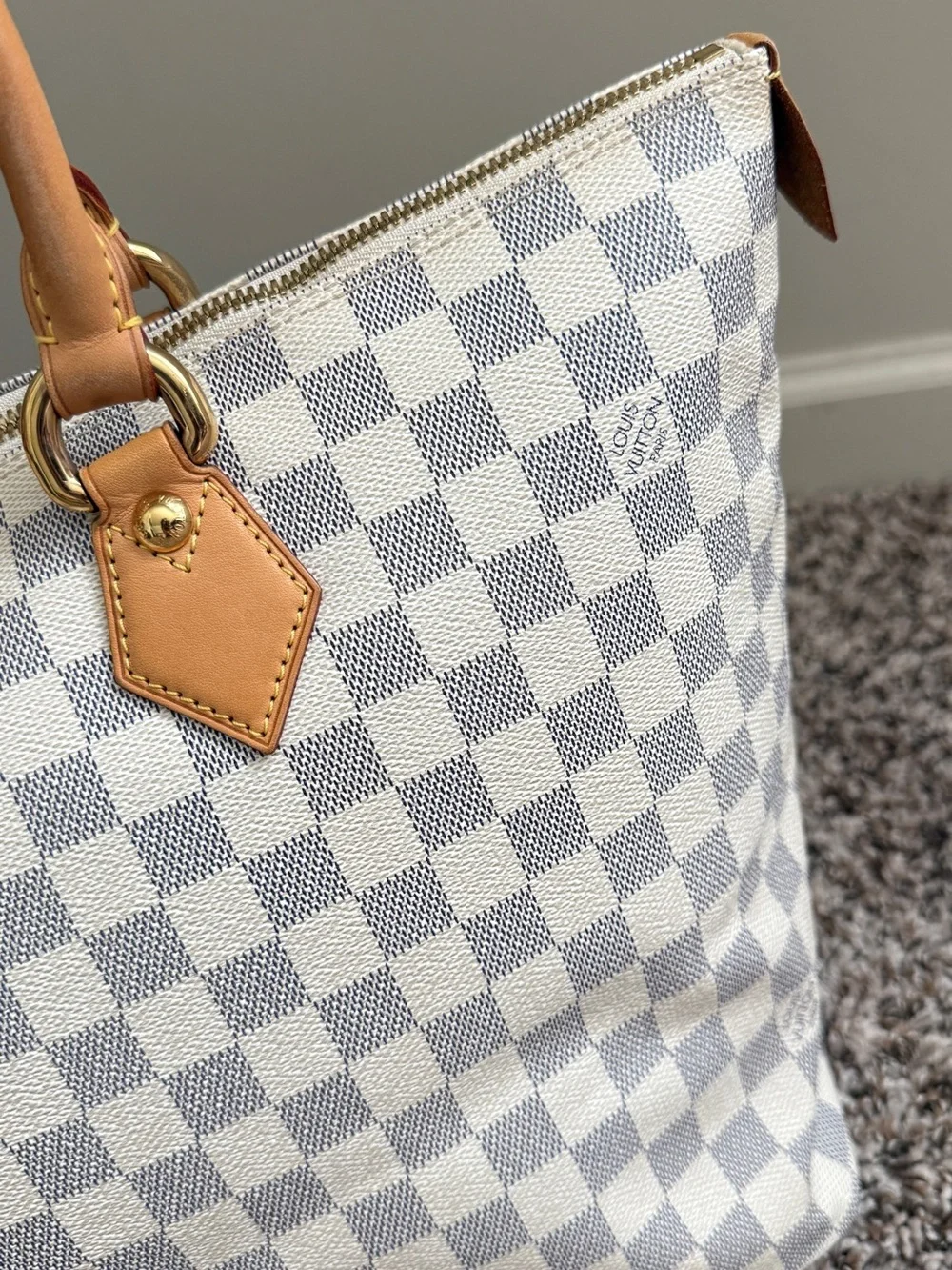 Louis Vuitton authentic louis