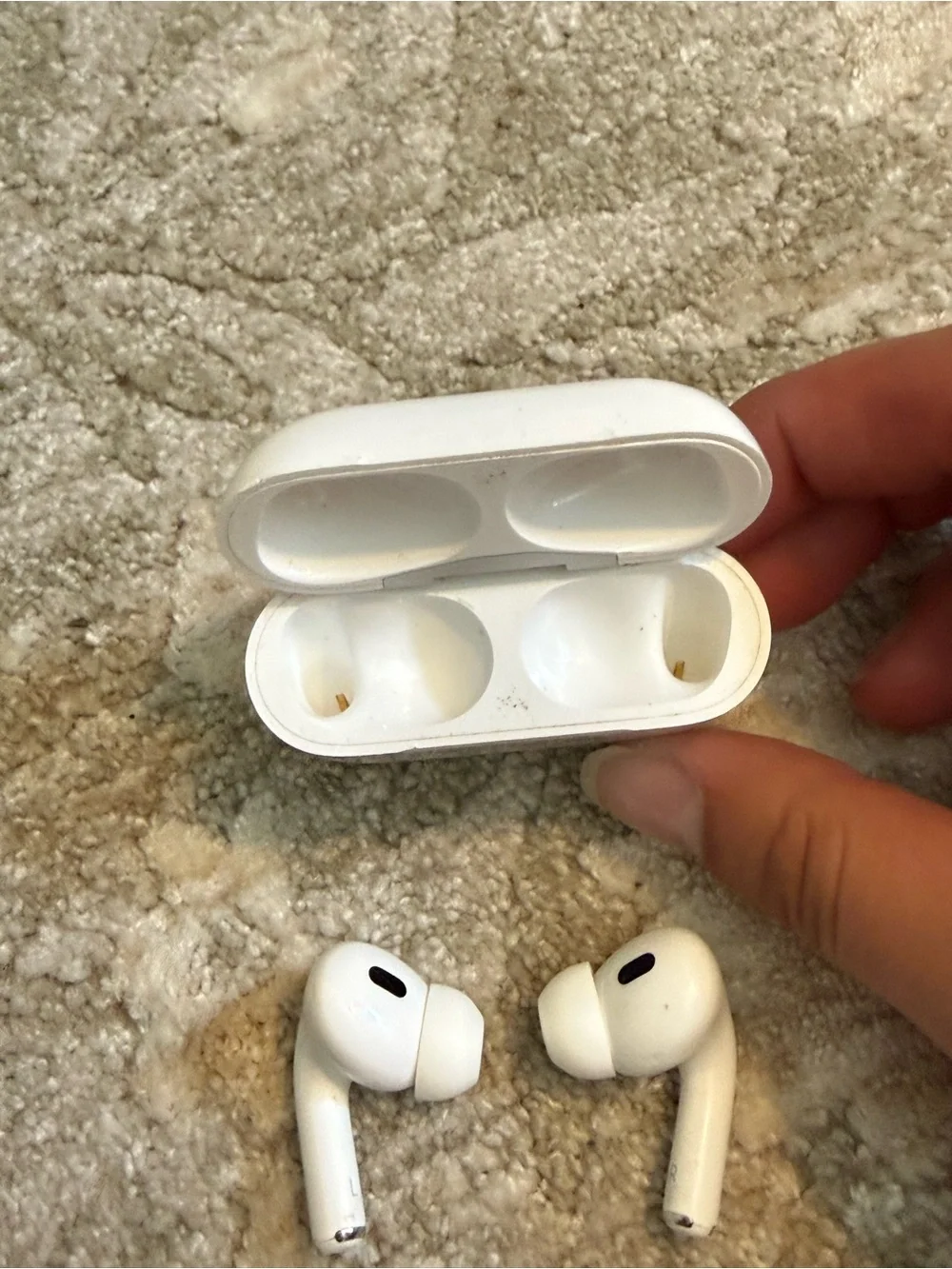 Apple 100% functional