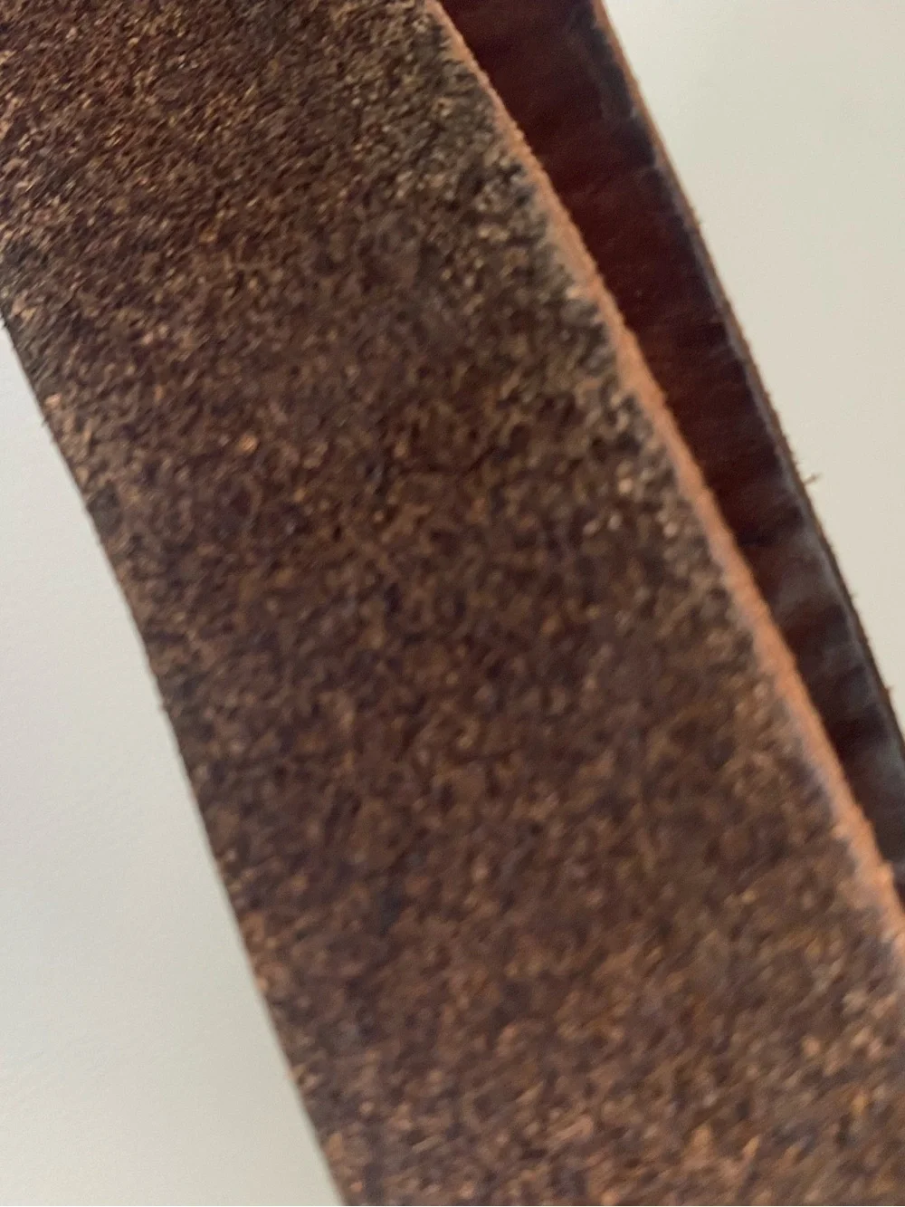 Fossil daily shows