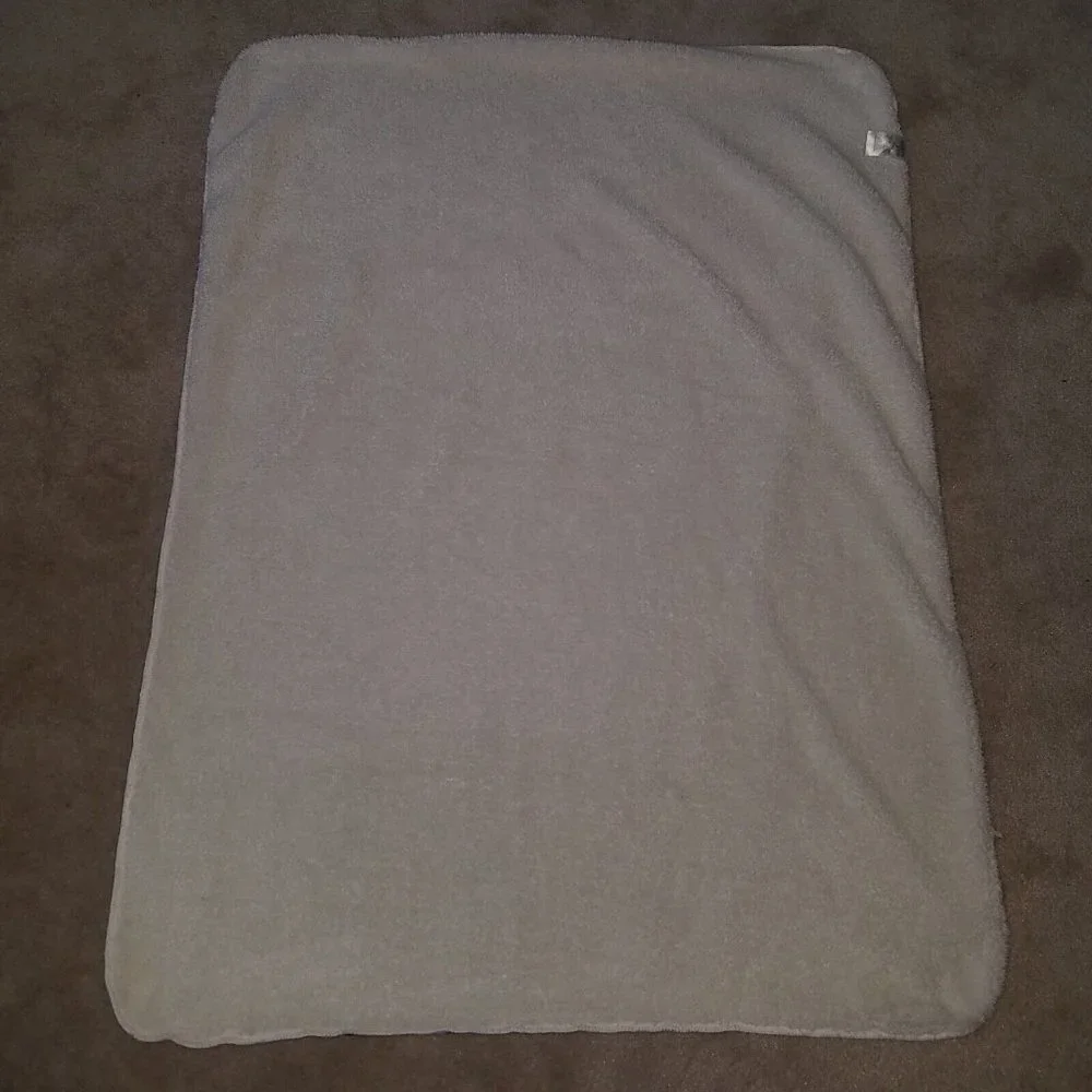 Chick Pea Blue Dinosaur Fleece Baby Blanket Lovey Triceratops T-Rex Pteranodon