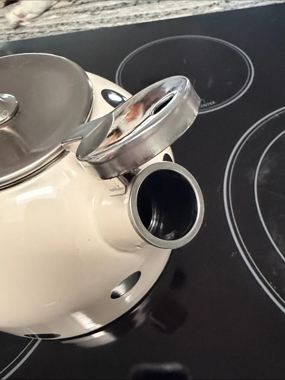 kate spade stylish enamel