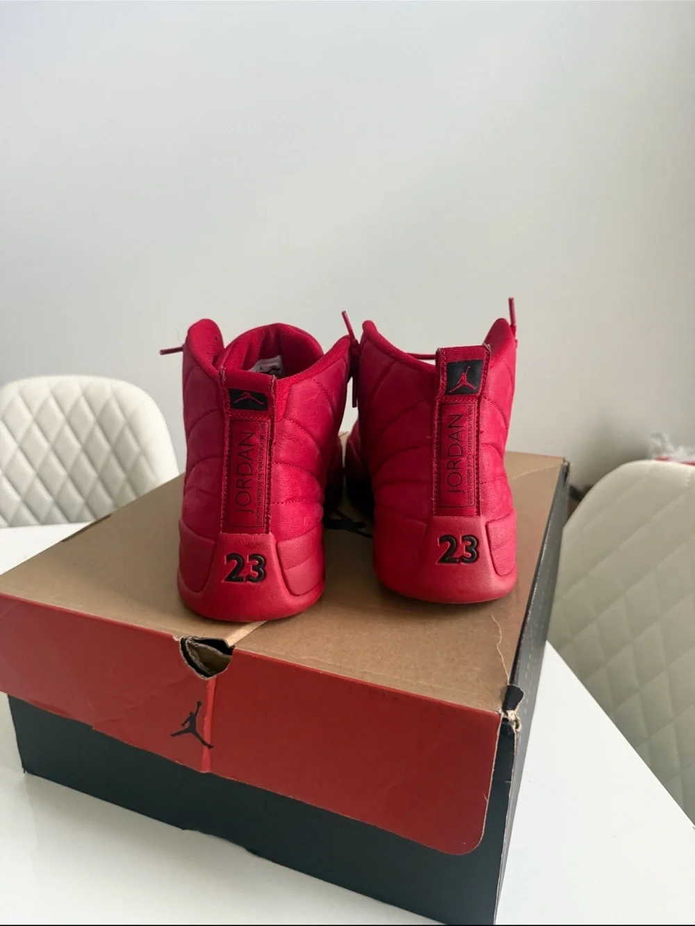 Jordan 12 gym