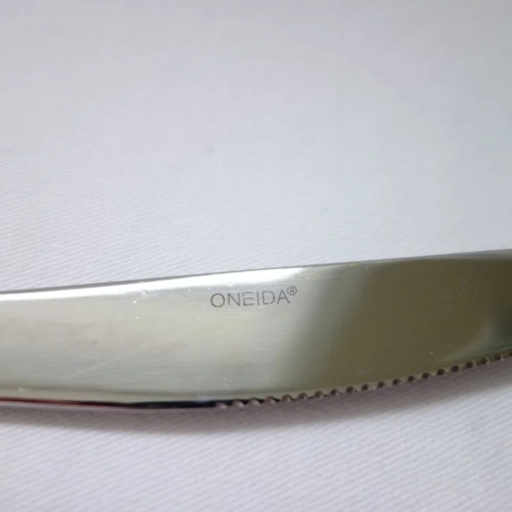 Oneida vista stainless