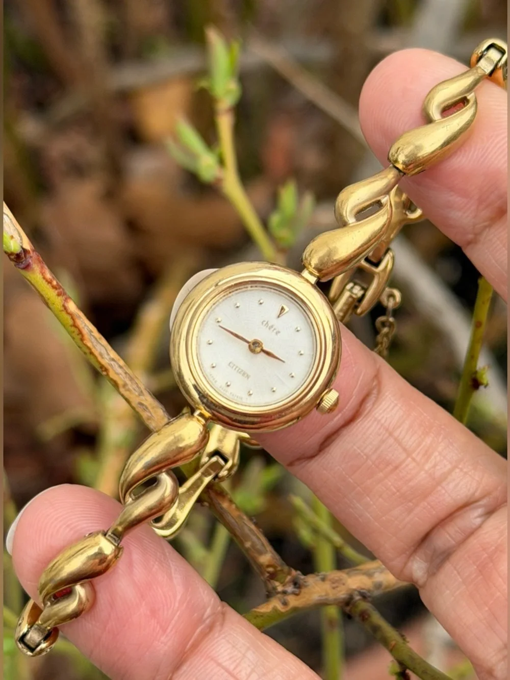 Citizen style watch minimal