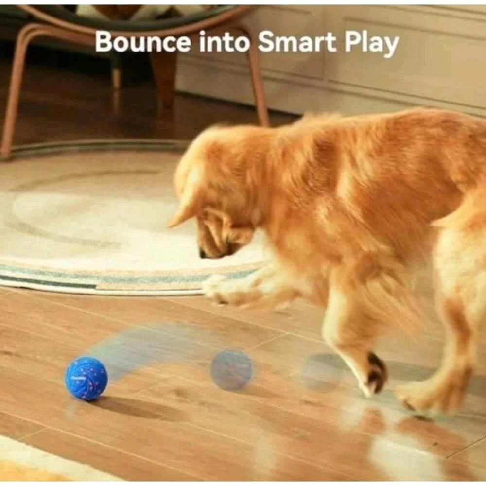 Cheerble smart interactive