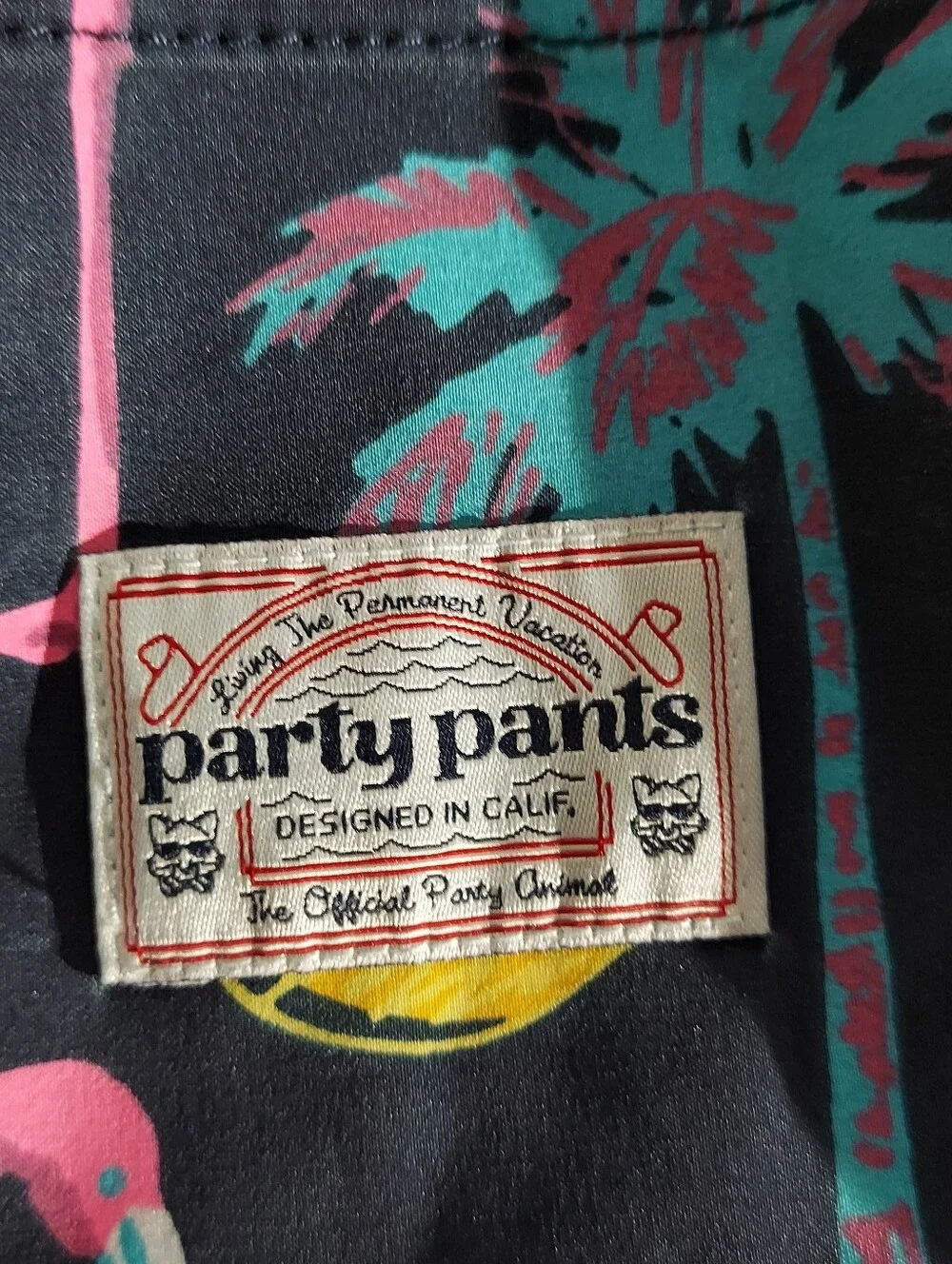 Party Pants swim trunks