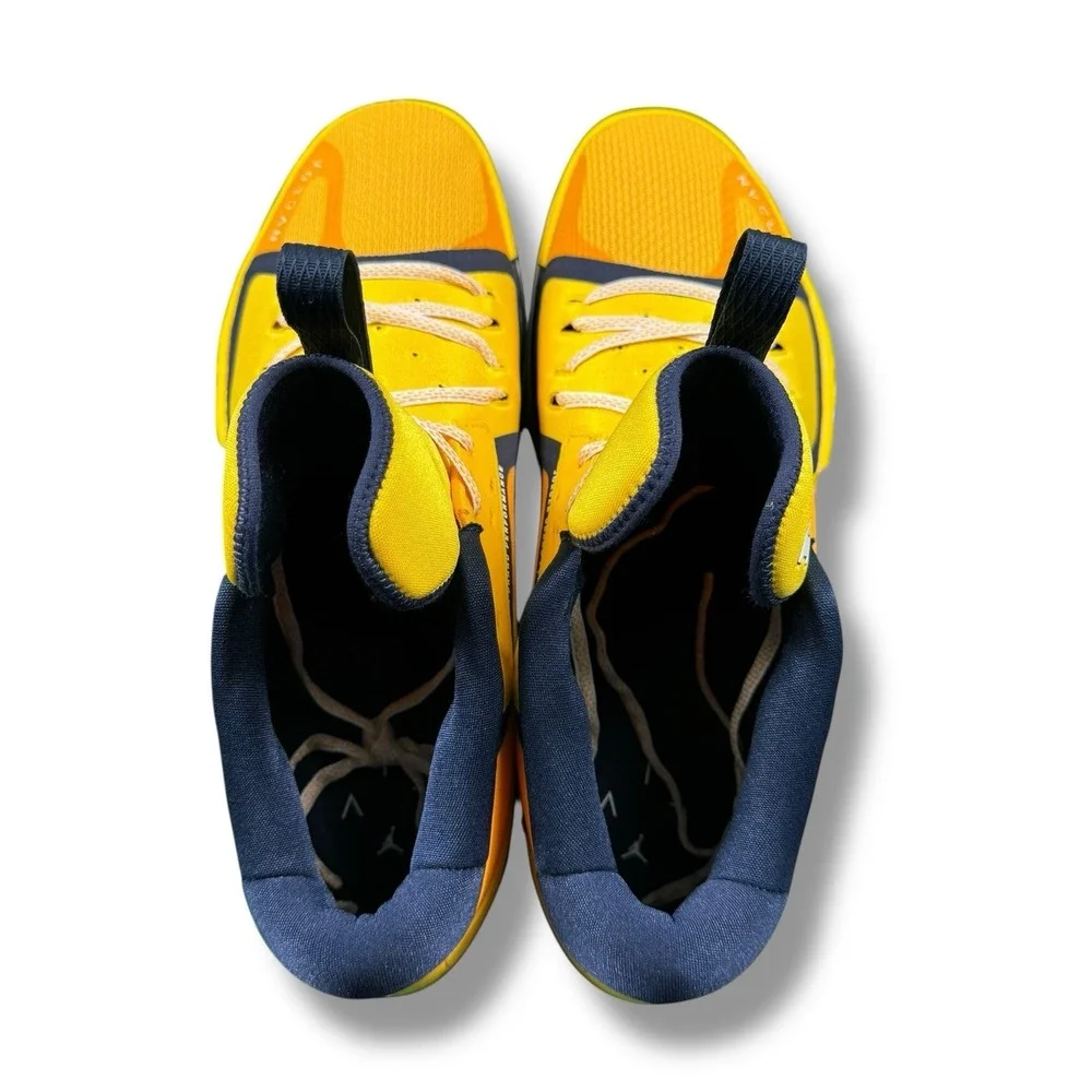 Air Jordan Zoom Separate PF Michigan Wolverines PE Player Exclusive US SZ 16 EUC
