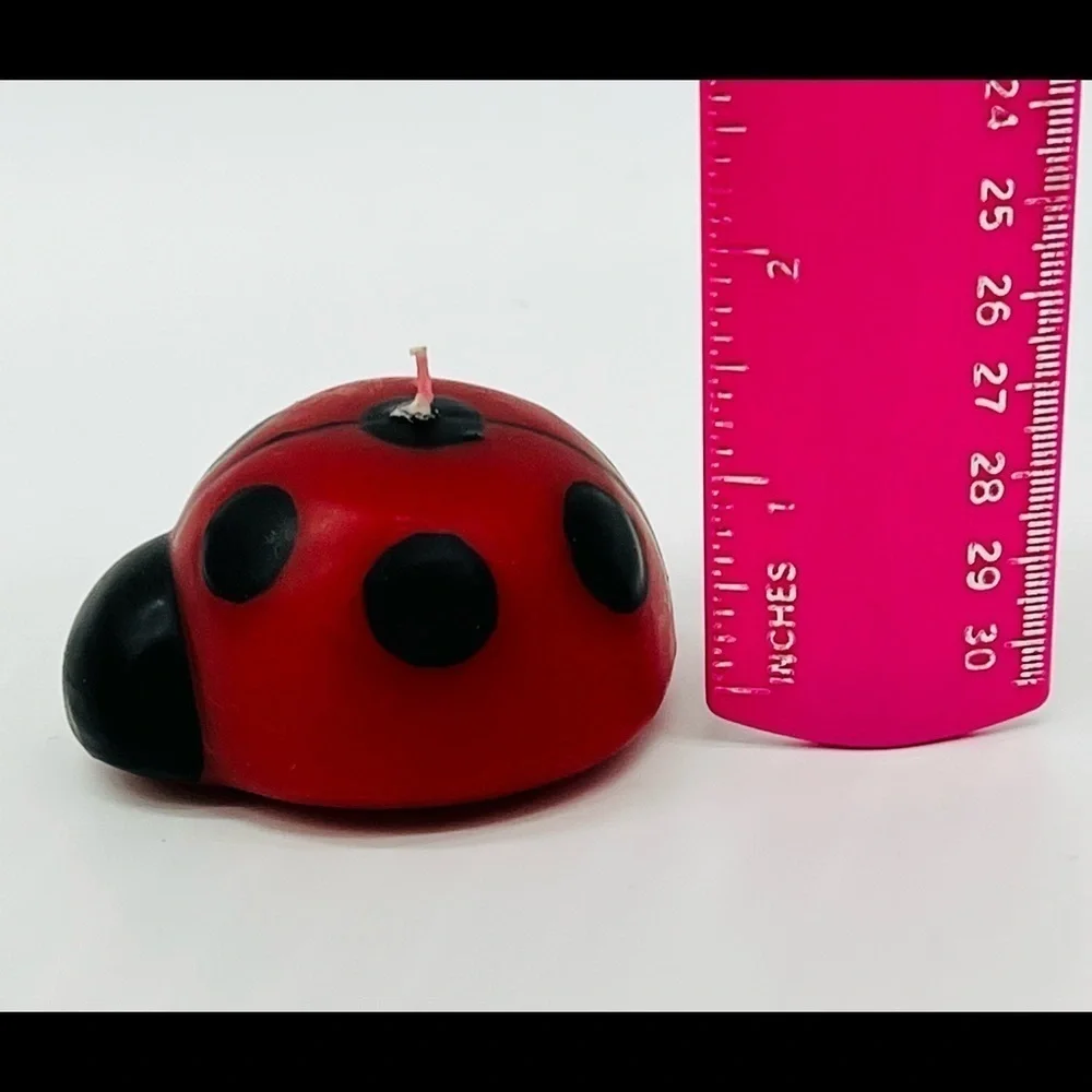 N/A ladybug floating