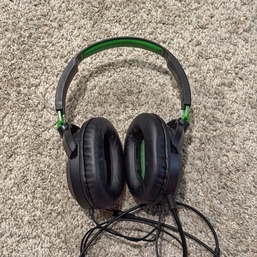 Turtle Beach turtle beach
