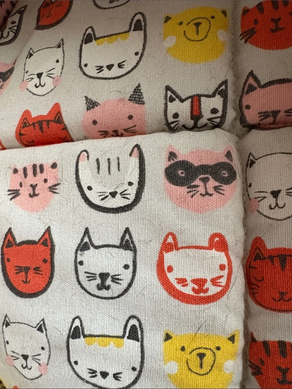 Whiskers & Co wiskers co