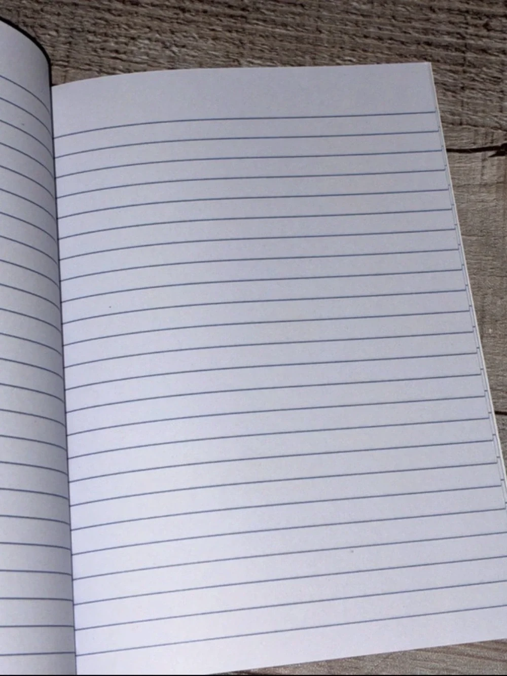 Gummy Bear Notebook Set w/Paper Clips