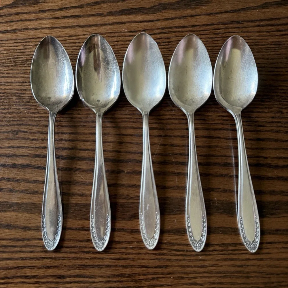 Vtg Oneida Community Bridal Wreath Silver Plate Tablespoon Serving Spoon (5)