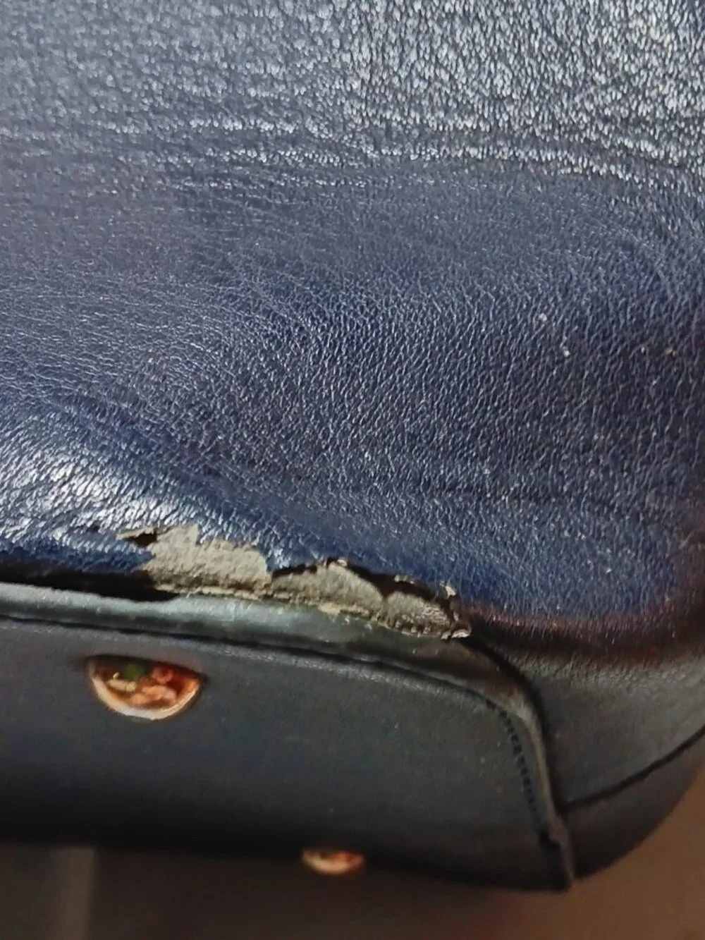 Ivanka Trump compartment hidden