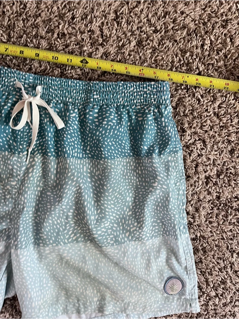 chubbies swim trunks