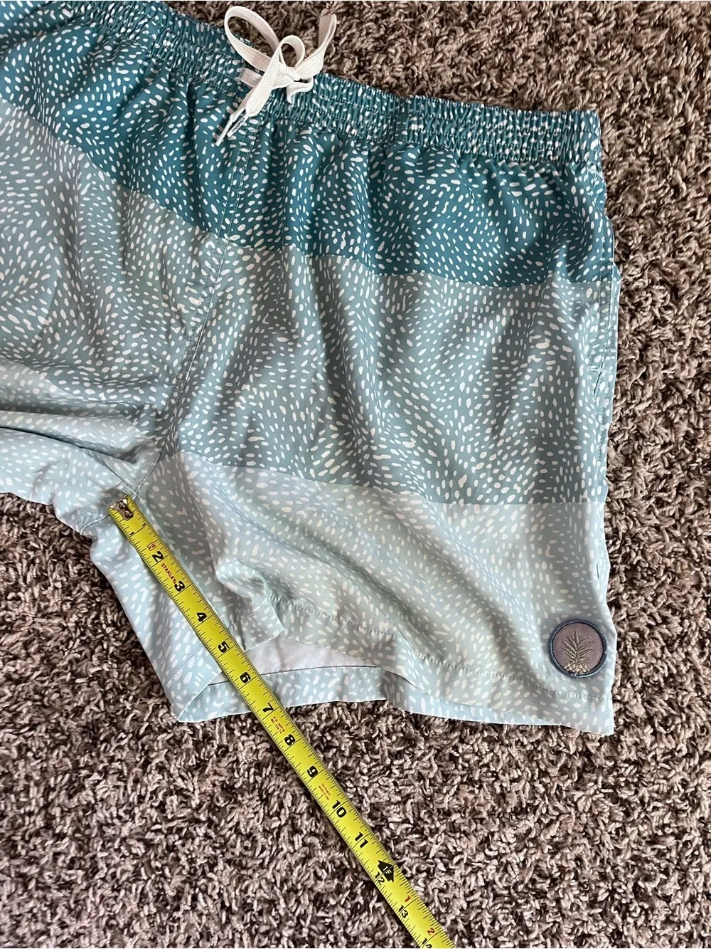 chubbies swim trunks