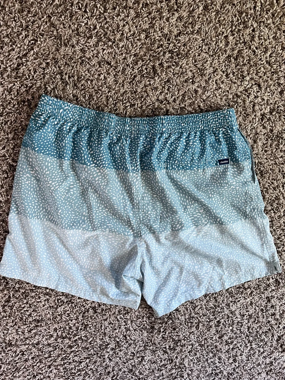 chubbies swim trunks