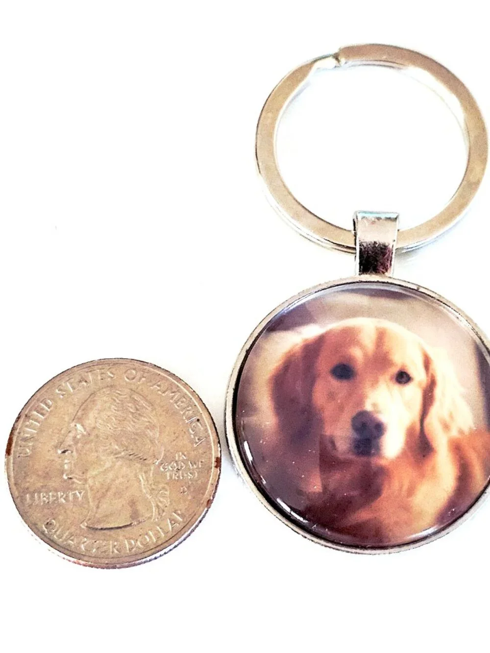 N/A ***pets unconditional