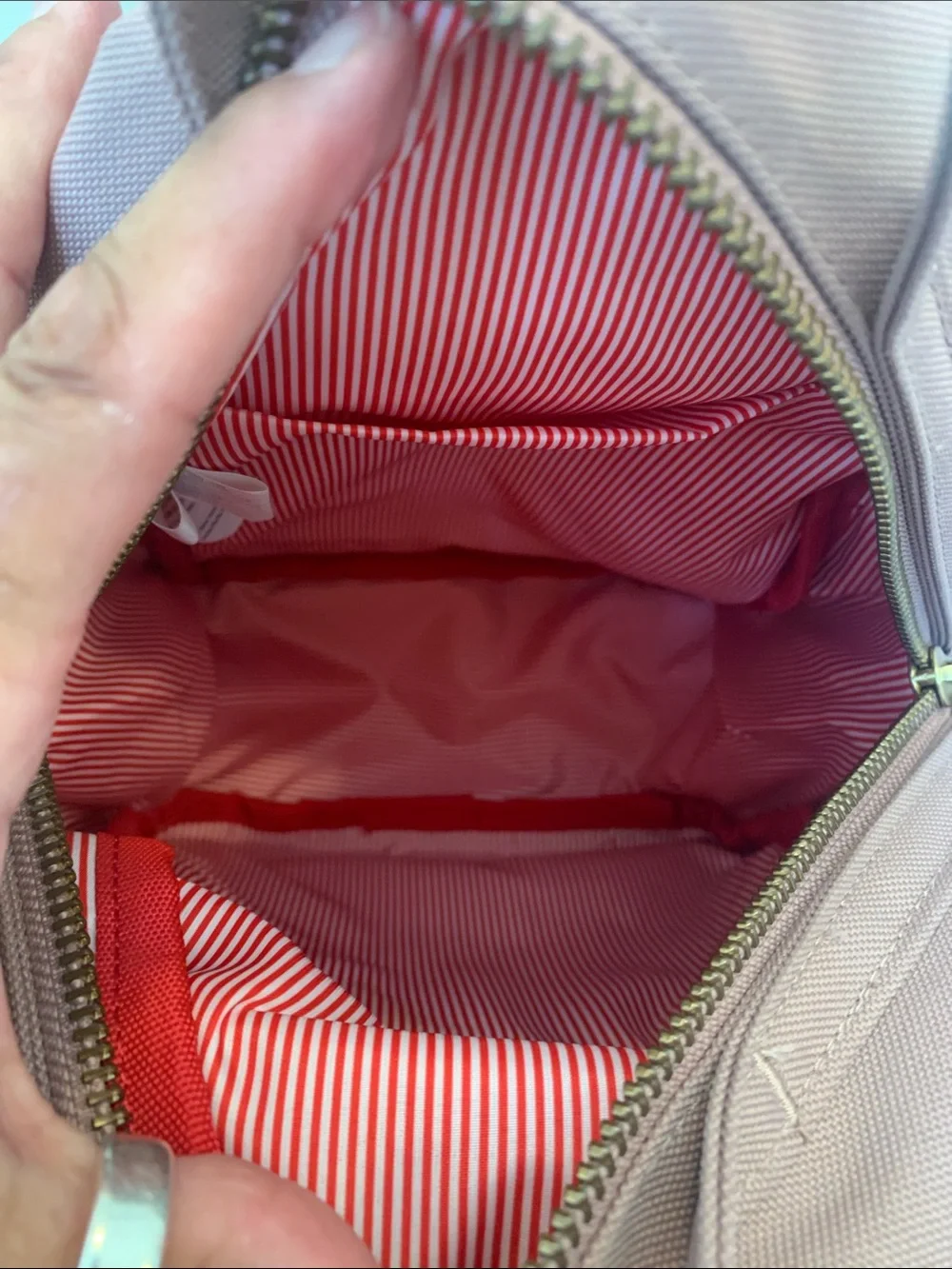 Herschel Supply Company herschel small