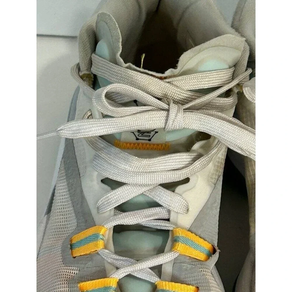 Nike jordan zion