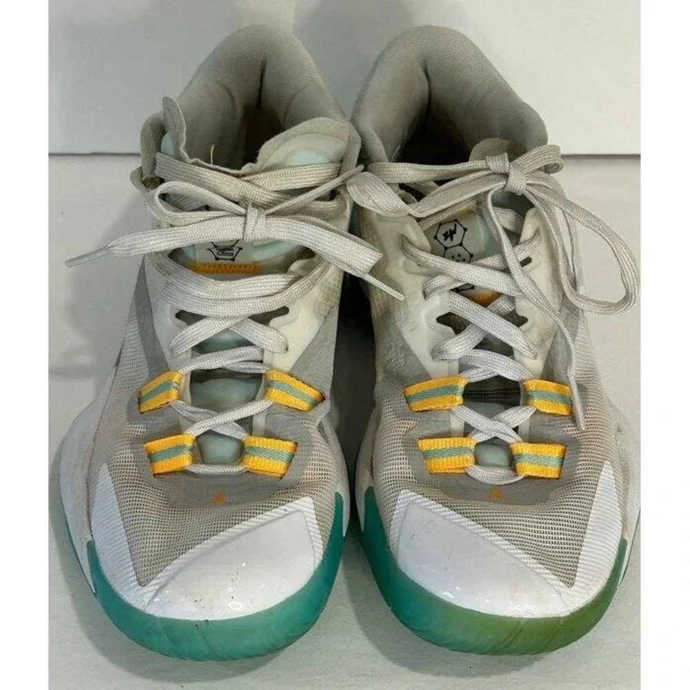 Nike jordan zion