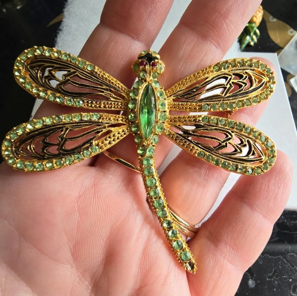 Vintage lovely dragonfly