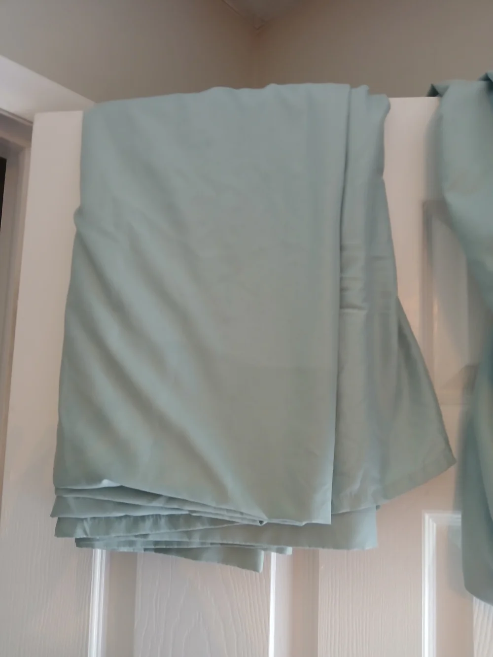 no brand no seafoam case