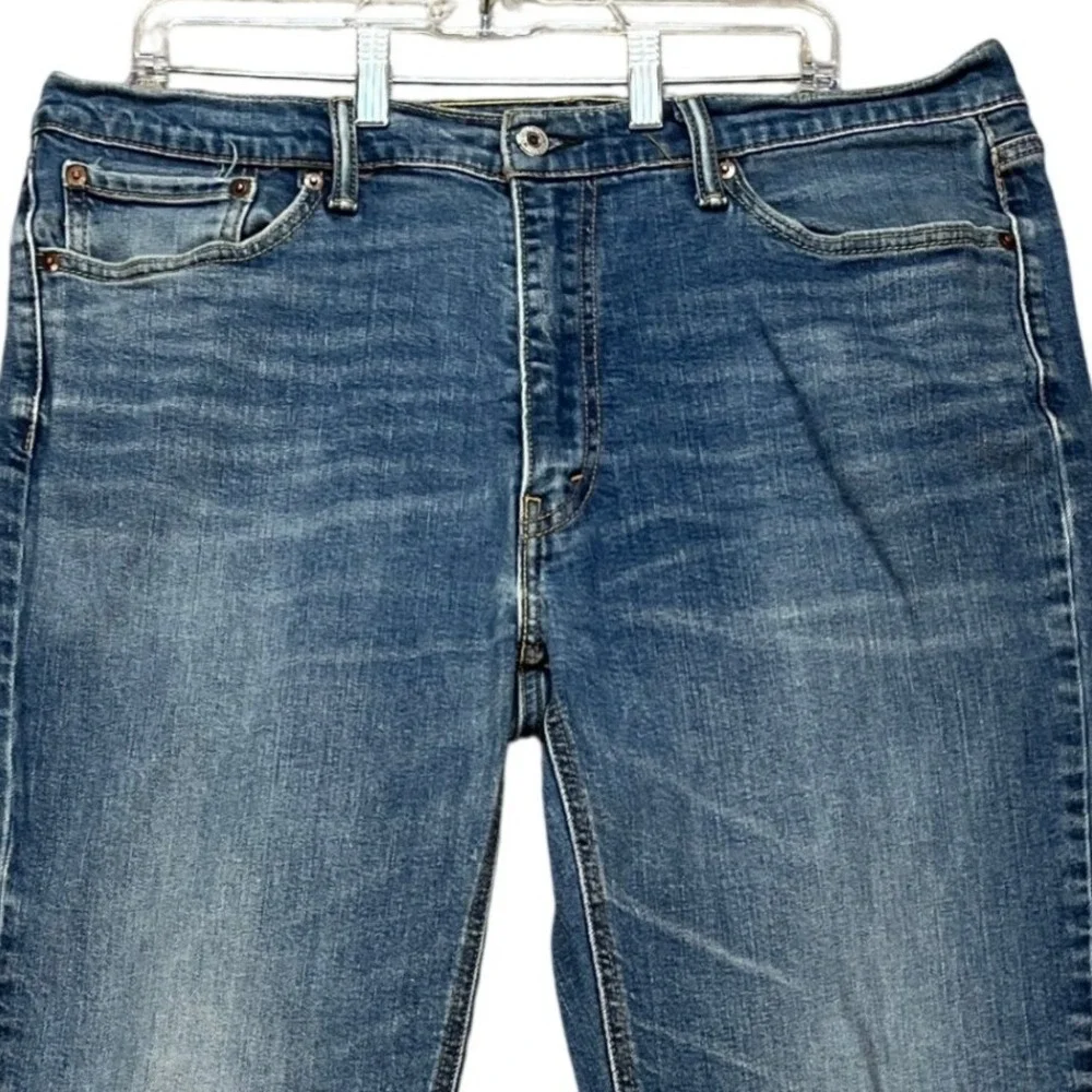 Levis levi 541