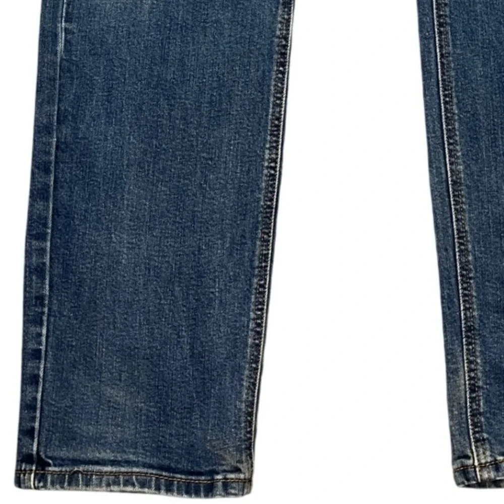Levis levi 541