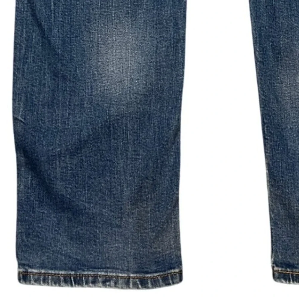 Levis levi 541
