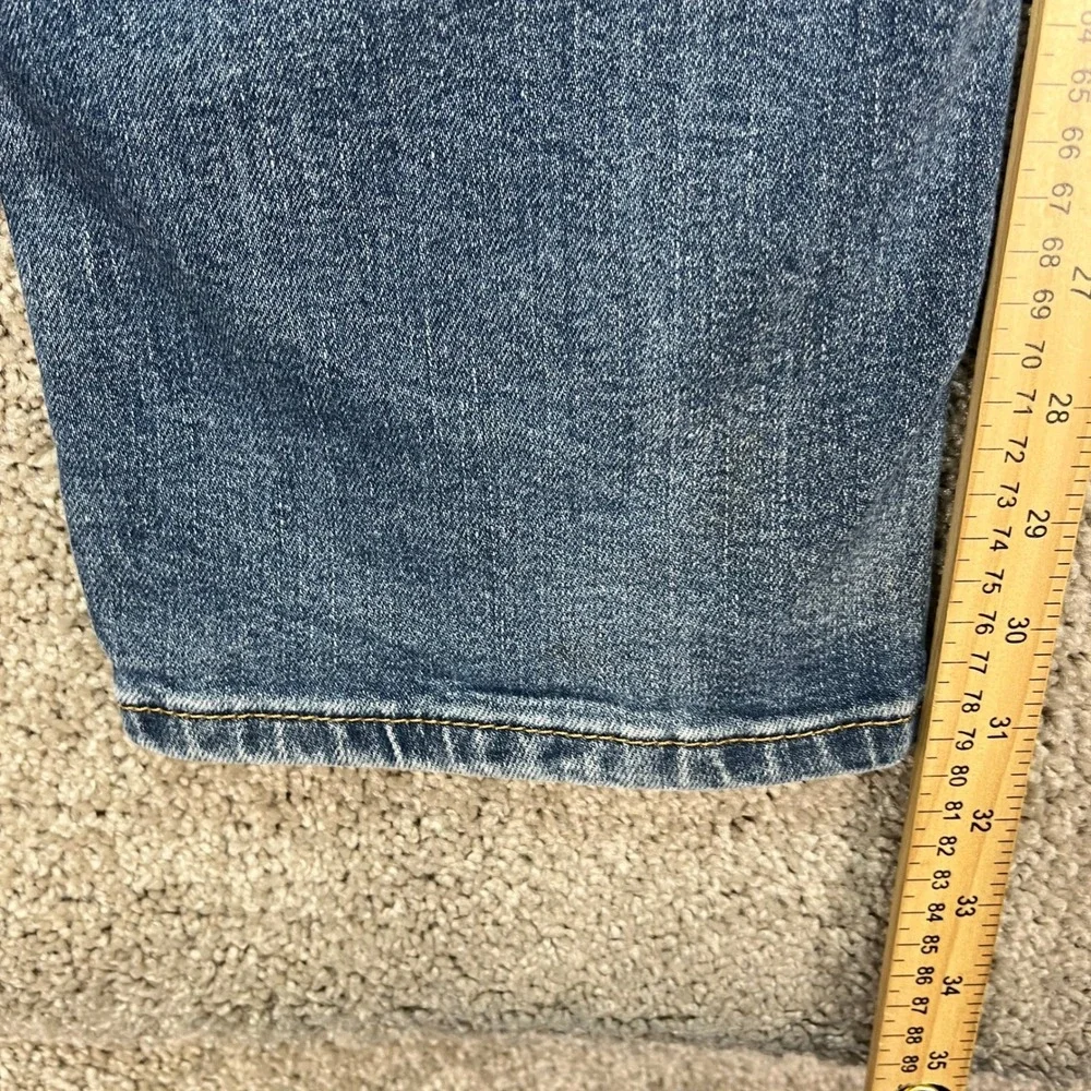 Levis levi 541