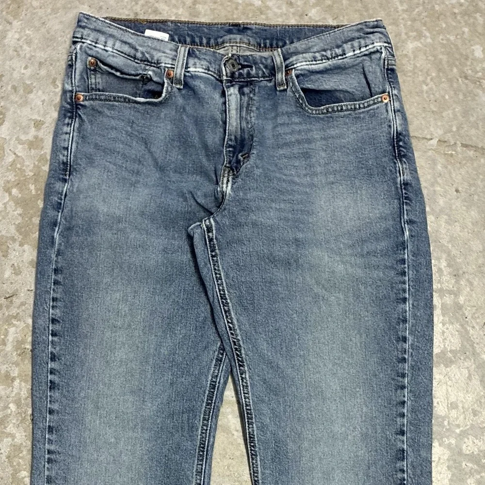 Levis levis 541