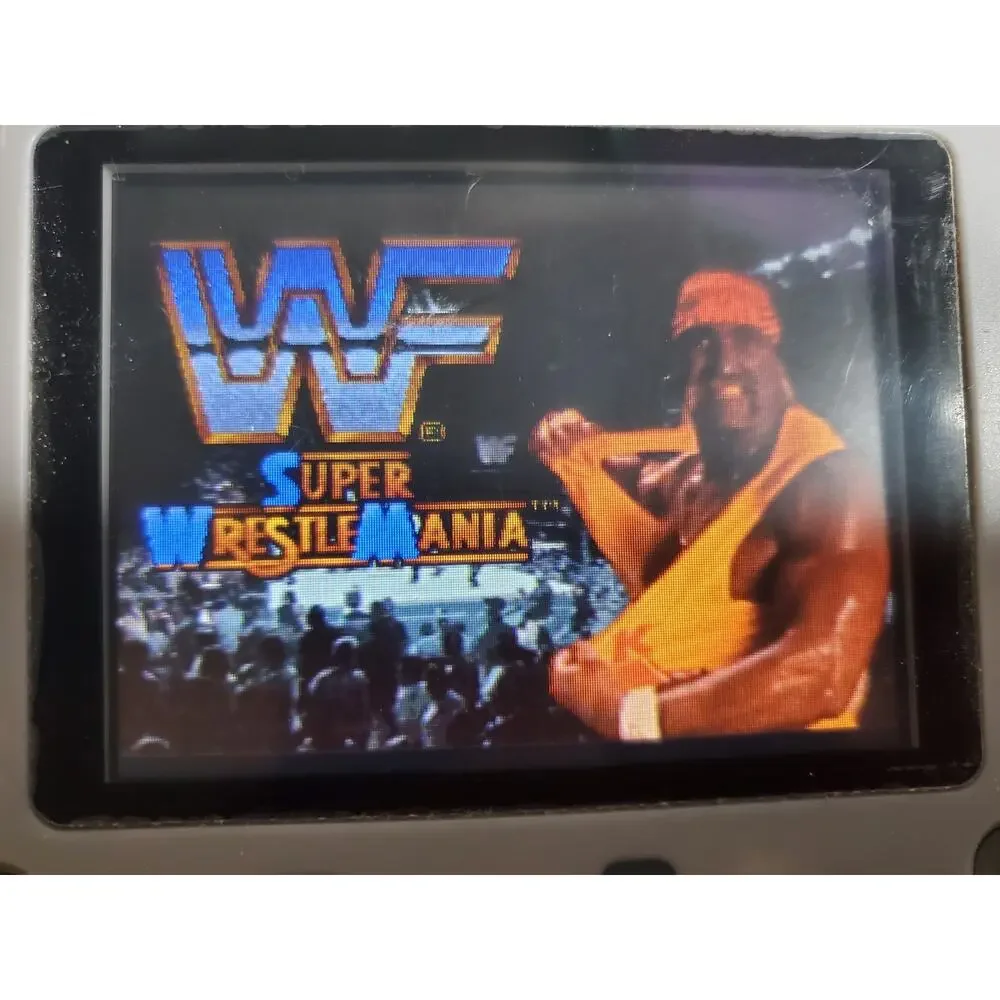 Nintendo snes wwe