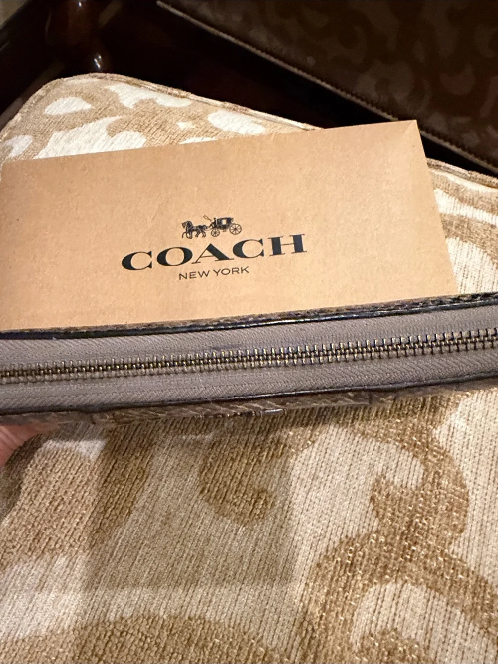 Coach zip around