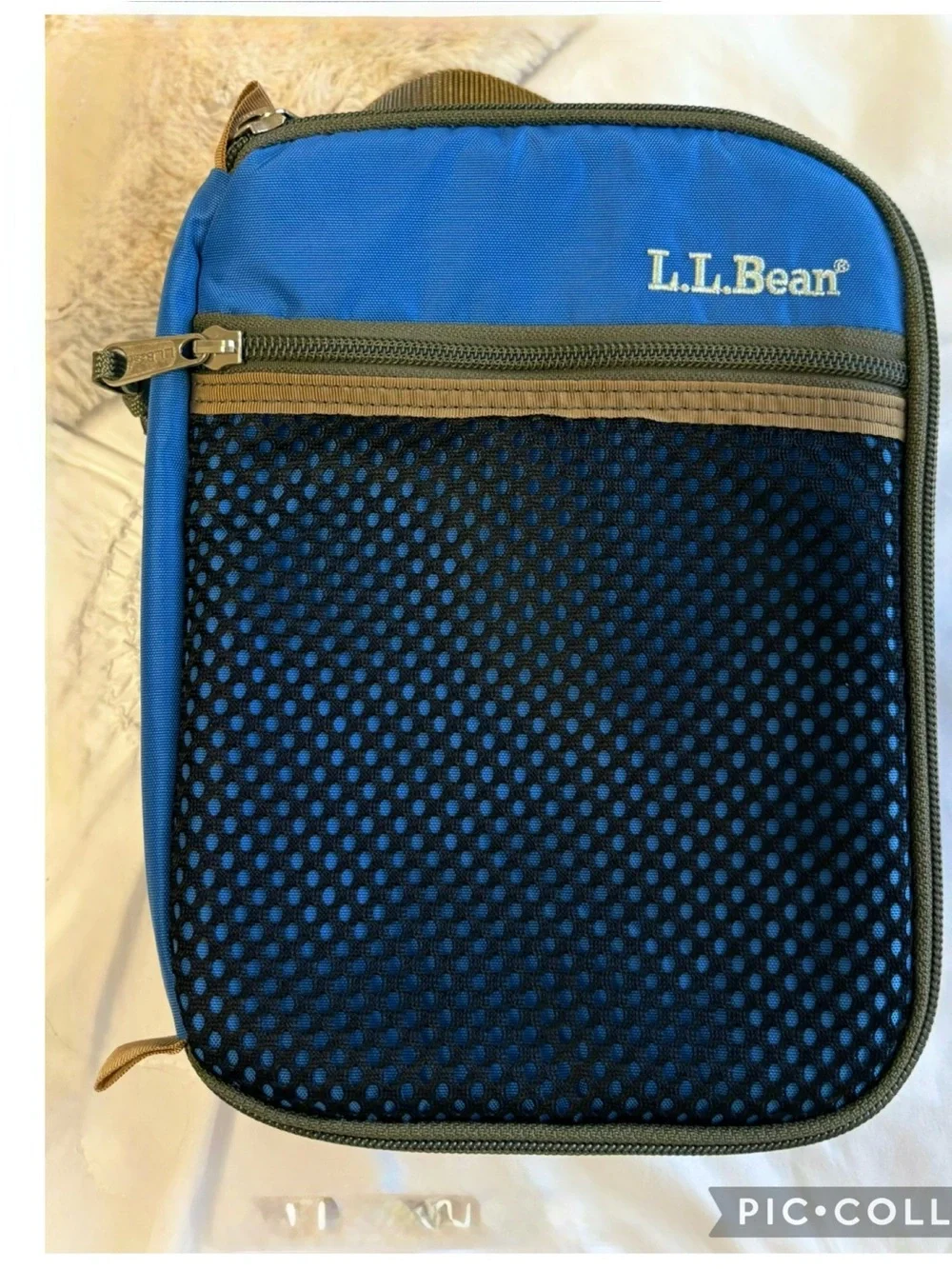 L.L.Bean Insulated Lunch Tote Cooler Bag Like New Camping Travel Outdoor Carrier
