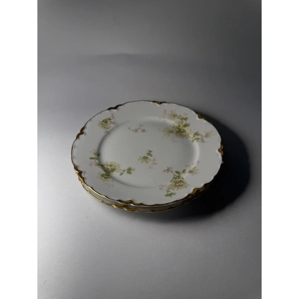 Set of 6 Haviland Limoges France Plates And Saucers Schleiger‎ Floral Gold White