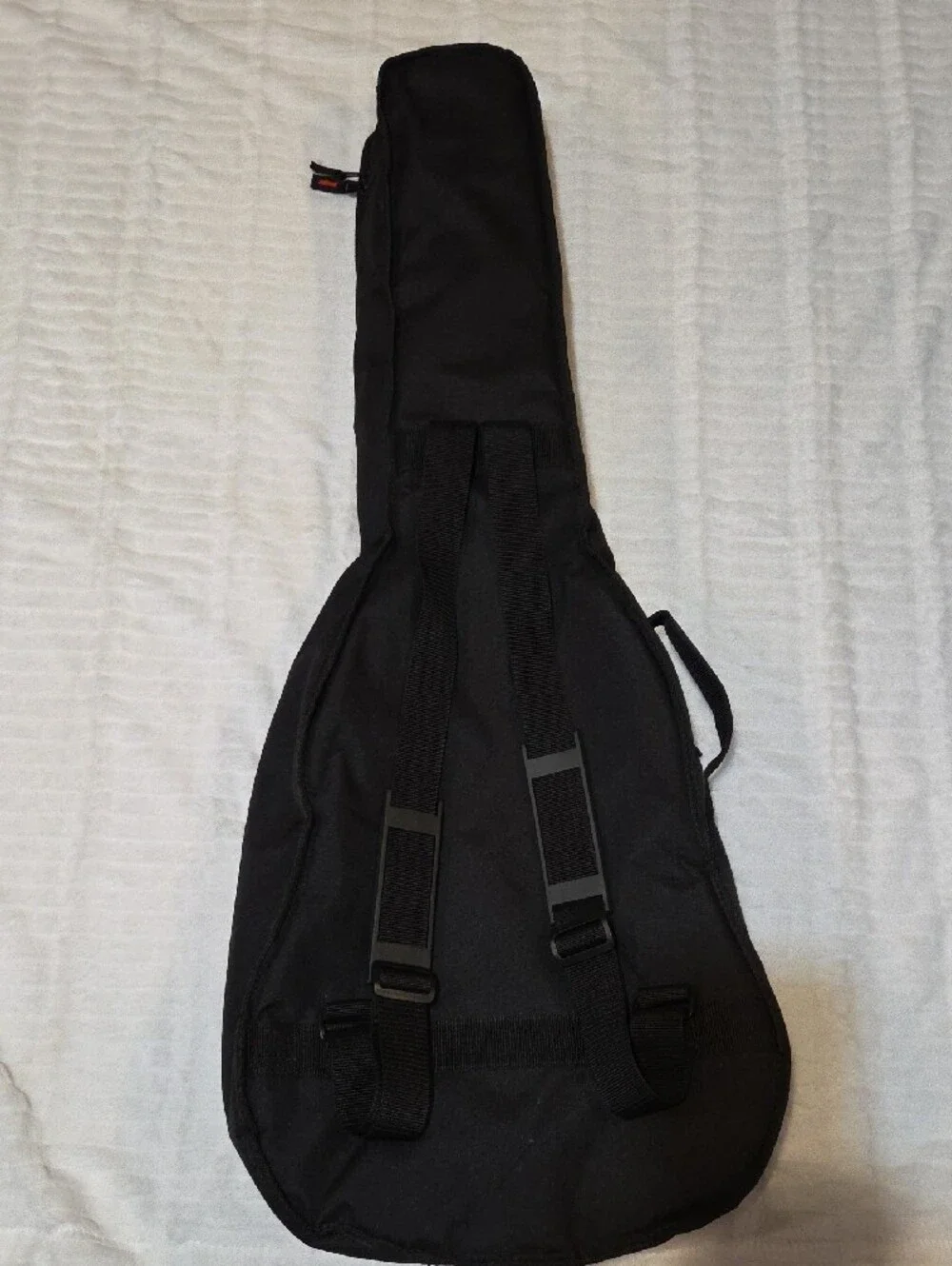 Gator cases black guitar