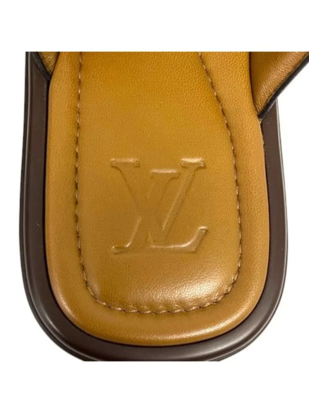 Louis Vuitton name louis