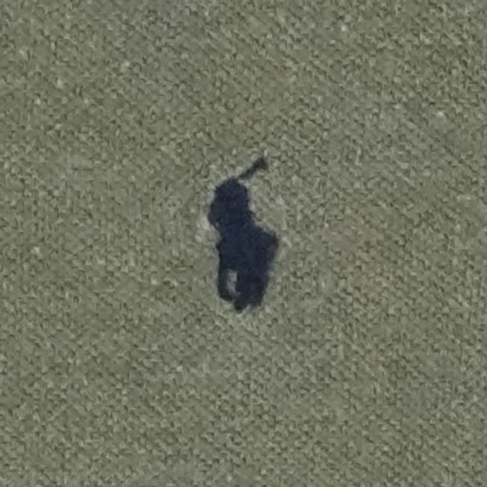Polo Ralph Lauren suitable tone