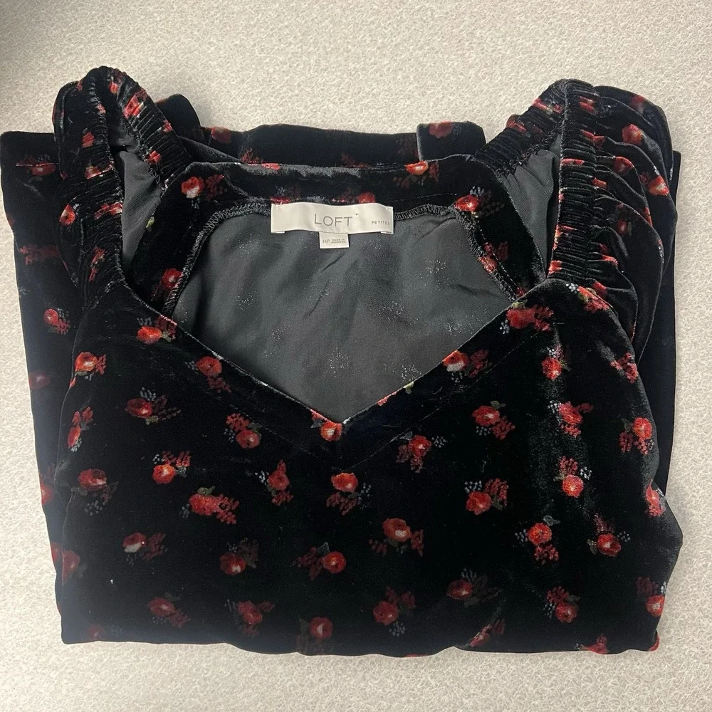 LOFT velour floral