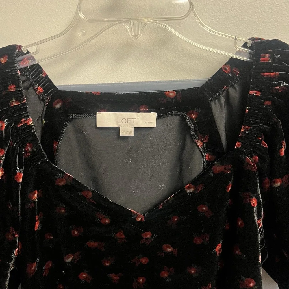 LOFT velour floral
