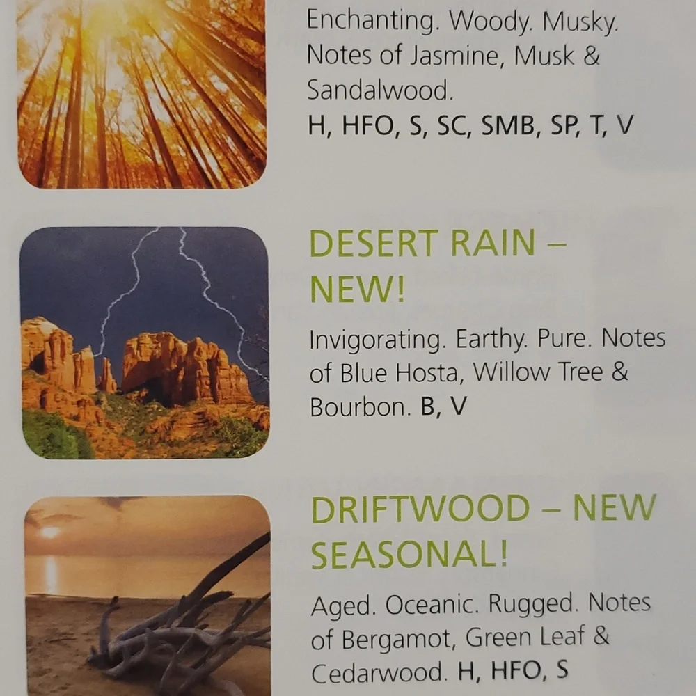 Gold Canyon desert rain