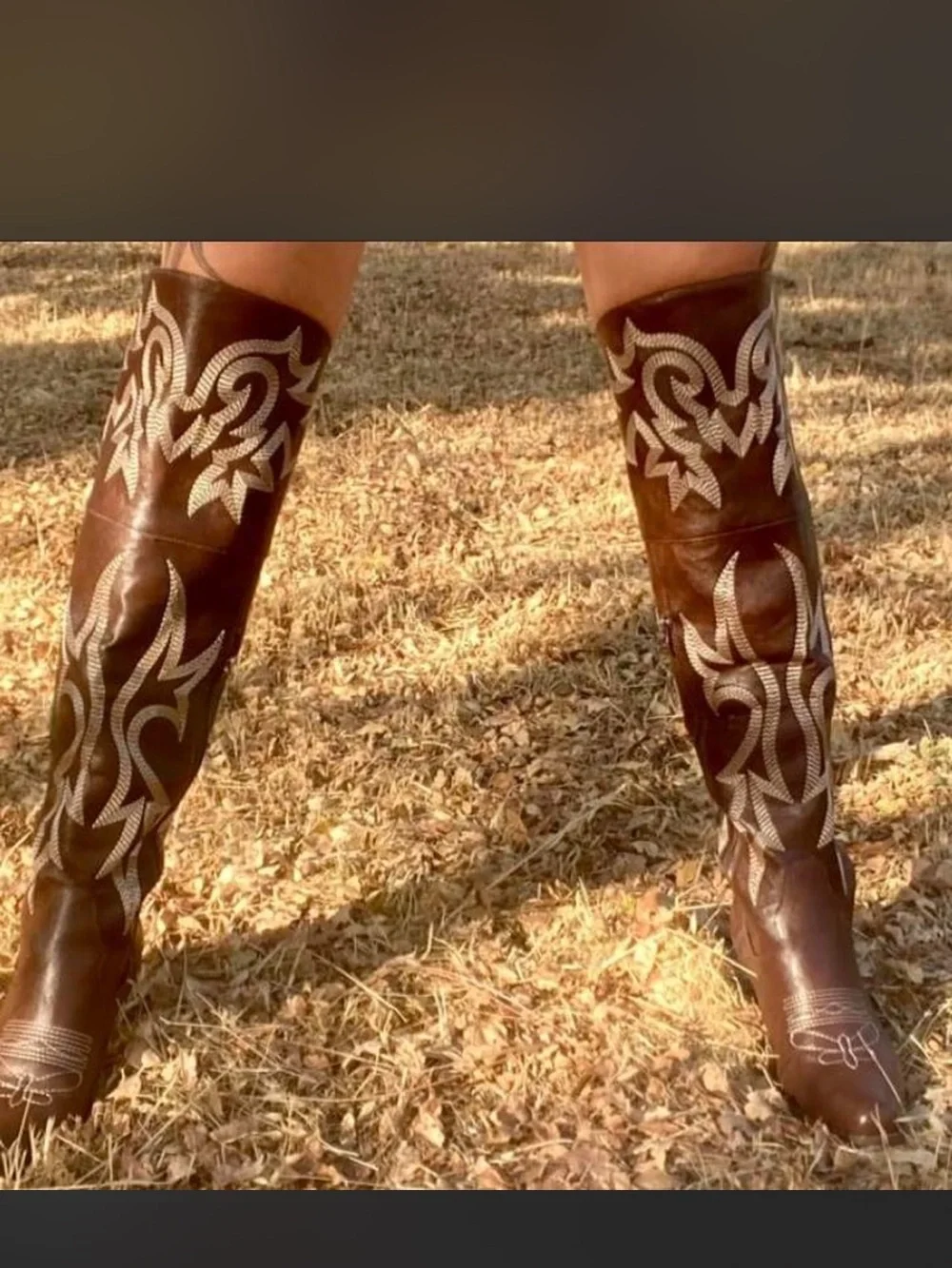 Brown Embroidered Western Knee-High Boots