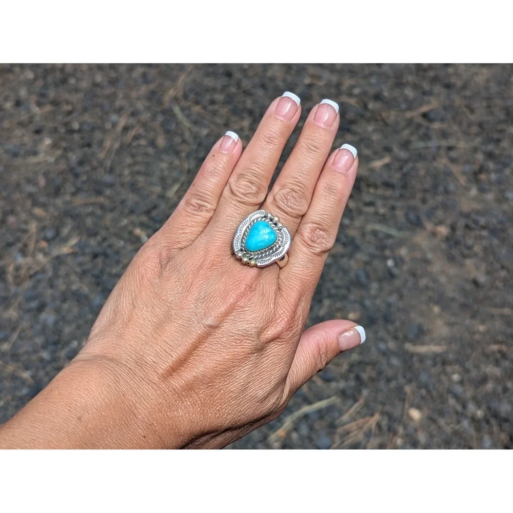 N/A beautiful navajo