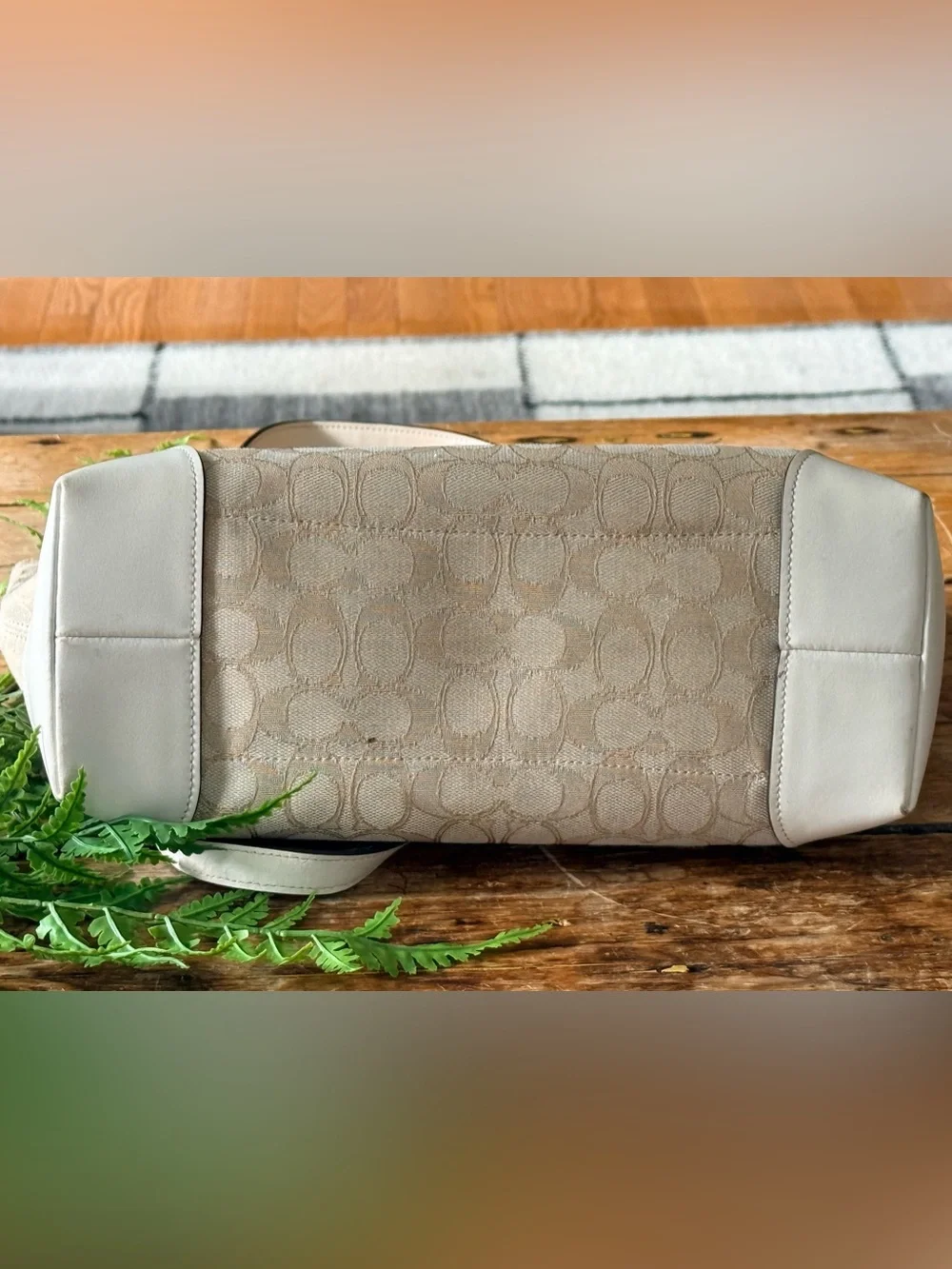 Coach light cream