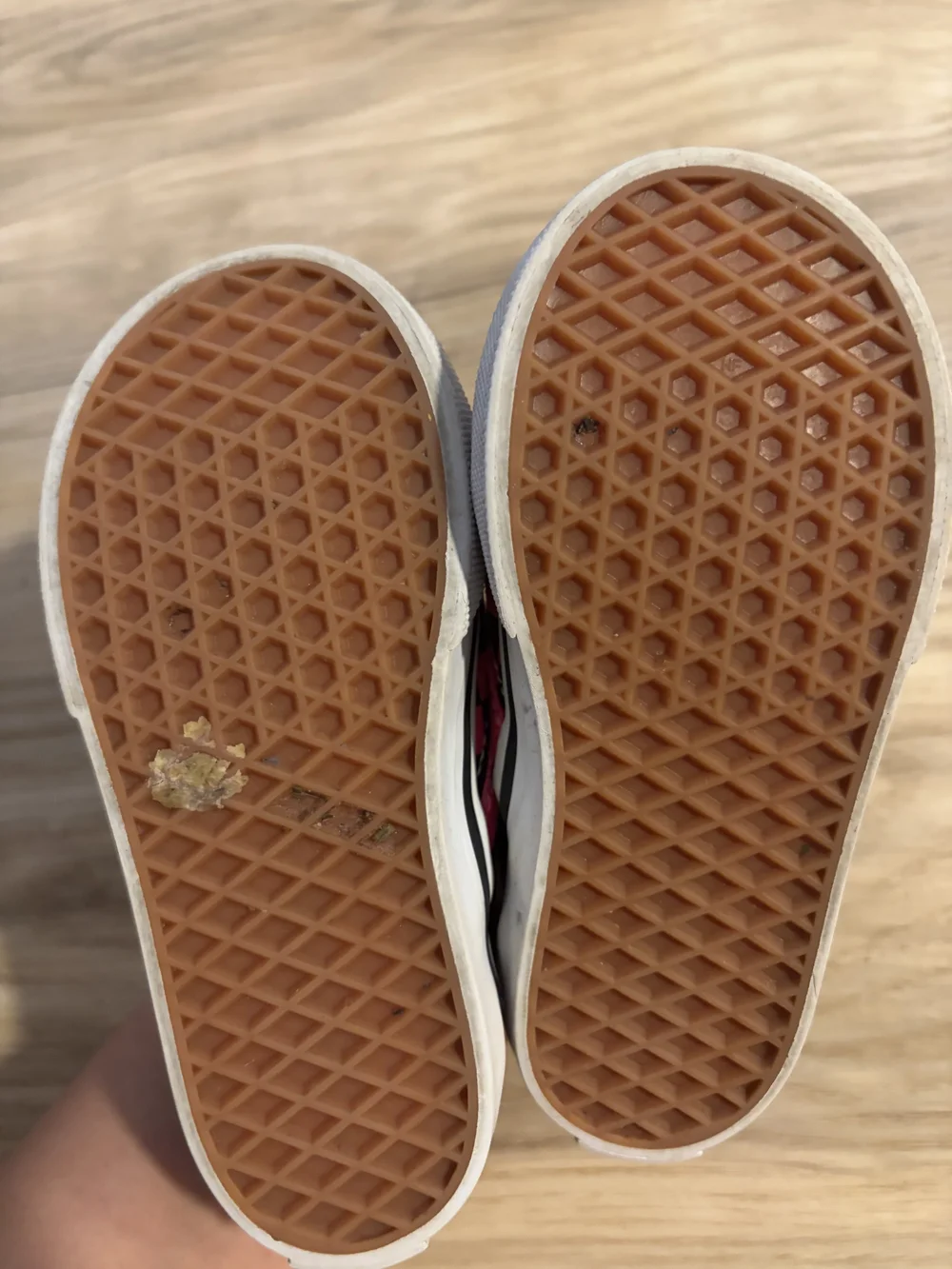 Vans kids low