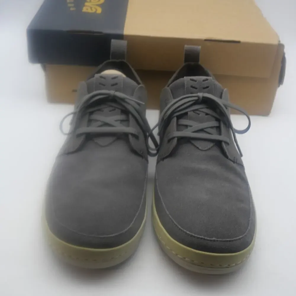 Teva purchase by