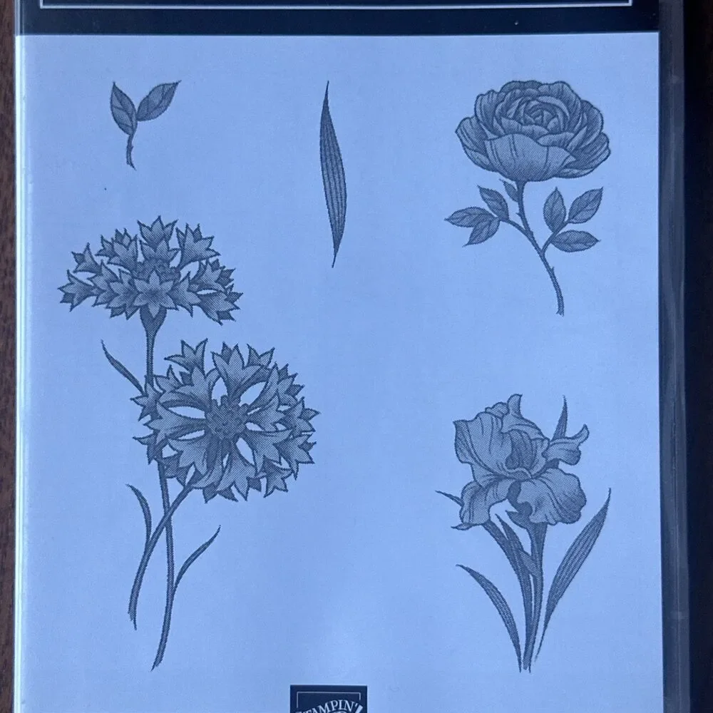 Stampin Up! stampin up